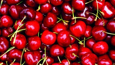 Қон-томир  хасталик­ларининг  табиий  давоси