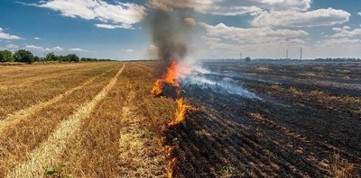 Сомон  қолдиқларини ёқиш  қандай оқибатларга олиб келади?