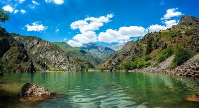 Фақат  назорат эмас,  табиатга етказилган  зарарлар ўрнини тиклаш ва  соғломлаштириш зарур