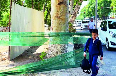 Йўлсиз  Йўловчилар  ёхуд пиёдалар йўлагини эгаллаб олаётганларни  тартибга чақирадиган мард борми?