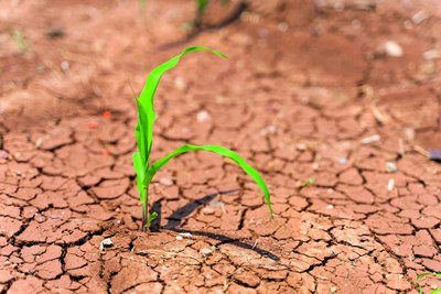 «Ўзбекистон – 2030»  стратегияси –  Барқарор  ривожланишнинг муҳим босқичи 