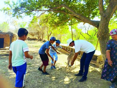 Жейновда  экотуризм