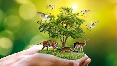 Неъматлар туганмас эмас,  асраш зарур