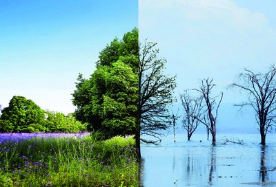 Глобал иқлим ўзгаришига  қарши кураш