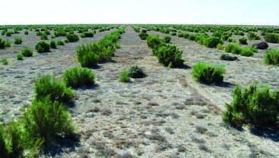 Ишончли  дастурий ҳужжат