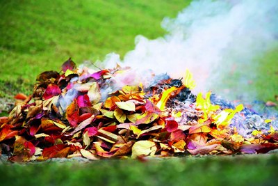 Хазон ёққанга  3,3 миллион жарима