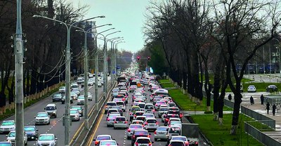 Бу ёғини табиат  «ҳазм қила олмайди»