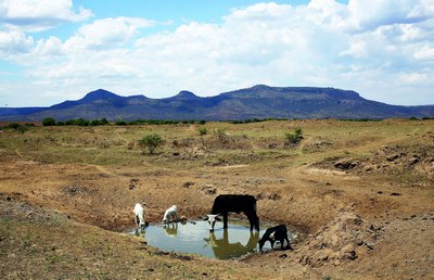 БМТ: Марказий Осиё ерларининг  38,4 фоизи  қурғоқчилик ҳолатида