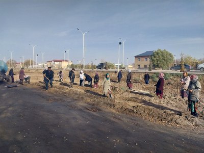 «Яшил белбоғ»лар  экологик барқарорликни таъминлашда  муҳим омил