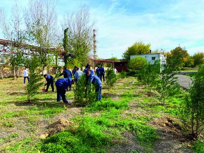 «Maxam-Chirchiq»:  «Яшил макон»га  20 мингта  дарахт билан