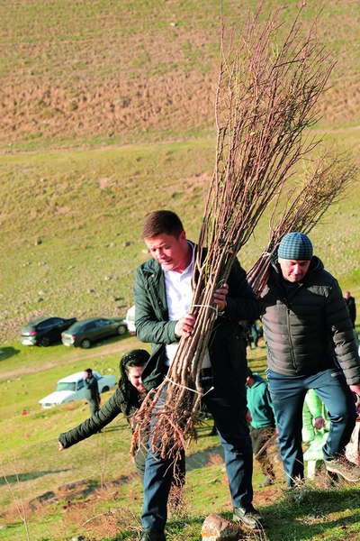 «Сен бир дарахт,  мен бир дарахт...»