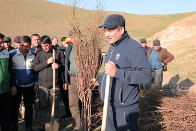 Тоғ бағрида  янги бодомзор