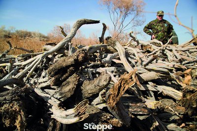Қаҳратонда дарахтларни асранг,  акс ҳолда, улар   ўтинга  айланиши мумкин