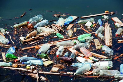 Экологик рейдлар:  Табиат кушандаларига  жазо муқаррар