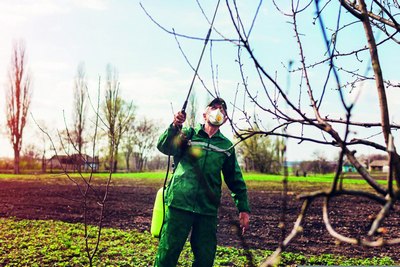 Агрономия – қариётган  соҳами?