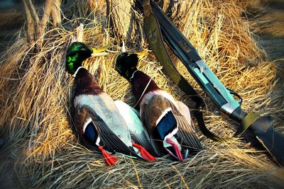 Броконьерлар  ушланди