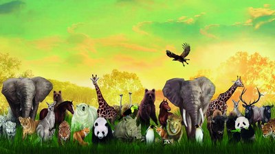 Улар эмас,  уларни қириб  ташлаётганлар  ёввойи