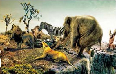 Табиат  ишига аралашиб бўлмайди