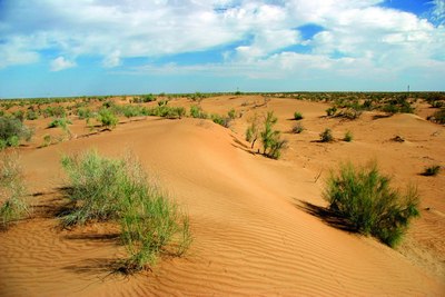 Бухорони  қийнаётган  экологик муаммолар, уларни қандай бартараф этиш мумкин?