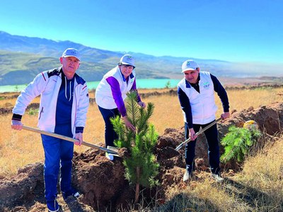 Дарахт экиш  ҳаётимиз мазмунига  айланиши керак