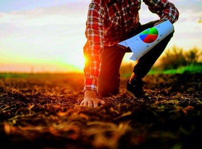 Кимёвий заҳарлардан  «ногирон»  бўлган ерлар