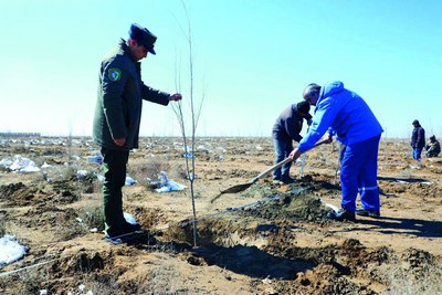 Бугун қадалган  ниҳол эртага атрофга саломатлик    бахш этади