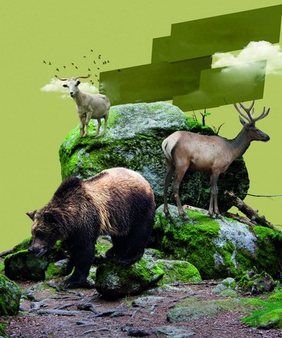 Табиатдаги  тирикликни  тортиб  олма,  одамзод!