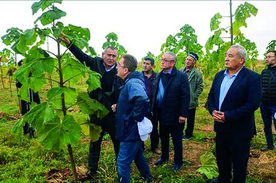 Бизга   «кислород  фабрикаси» зарур.  Уни барпо этишга қачон киришамиз?