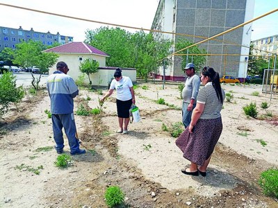 Навоийдаги  «яшил макон»лар  бугун яшилми?