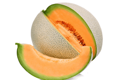 Янтоққа  пайвандланган қовун