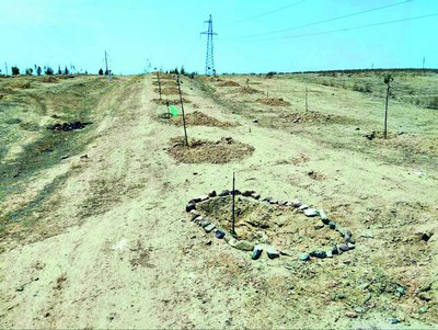 Кимни алдаяпмиз ўзи?