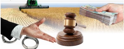 Буғдойдан  бўшаган ерлар фермеру кластерларнинг  «ўйин» майдонига  айланиб қолмаяптими?