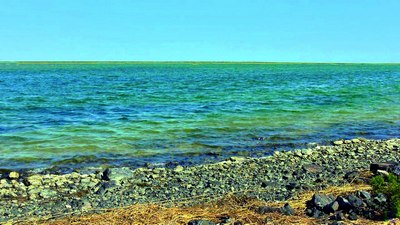 Қувончли хабар:  Шимолий Орол денгизида  сув ҳажми ошди