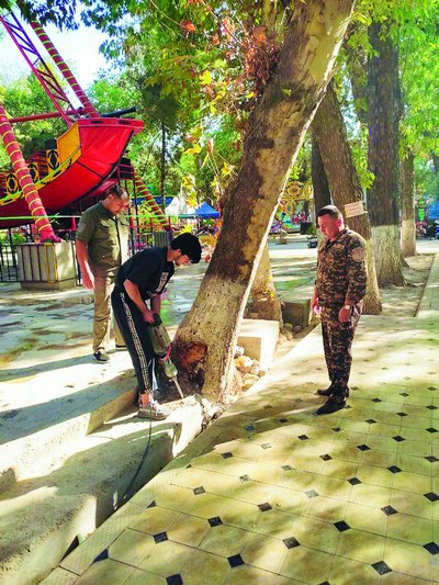 Дарахтга нафас беринг, у ҳам тирик мавжудот