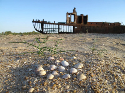Экологик хавфсизликни таъминлаш энг долзарб вазифага айланди