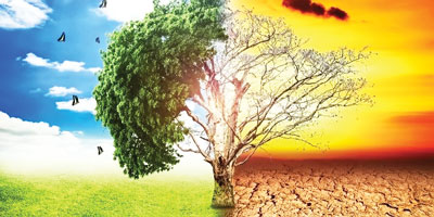 Иқлим ўзгариши оқибатларини юмшатишда тарихий қадам