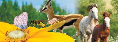 Марказий Осиё табиий мувозанати трансчегаравий биохилма-хиллик муҳофазасига боғлиқ