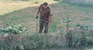 Хонқада ҳуқуқбузар  27 миллион  сўмдан ортиқ товон тўлайдиган бўлди