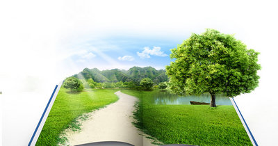 «Яшил» кадастр – бугунги экологик вазият эҳтиёжи