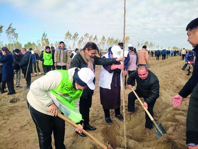 Яшил тарғибот