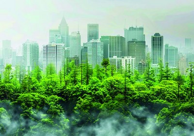 Шаҳарни салқинлатиш  учун қанча дарахт керак?  Хитойлик олимлар бу хусусида тадқиқот ўтказди