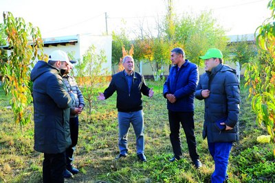 Кўчатлар кўнгилдагидек экиляптими?