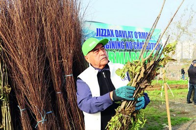 Натижаси юз йилликларга татийдиган лойиҳа