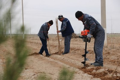 «ЯШИЛ  БЕЛБОF»ЛАР  Уларни бугун  яратишимиз керак, эртага кеч бўлади