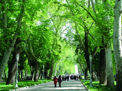 Давлат дастури  Кўчалар-кўчалар,  соя-салқин кўчалар...