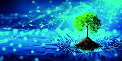 Биологик интернет:  дарахтлар қандай  гаплашади?