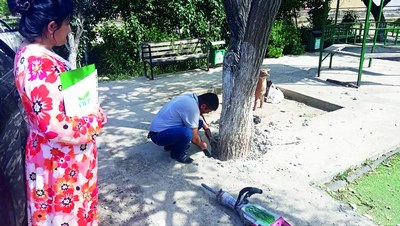 Дарахтларни  халос қилинг!