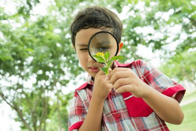 Таътил, ўқувчи ва она табиат