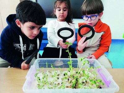 Экологик  масалалар ечимида  кенг кўламли ёндашув