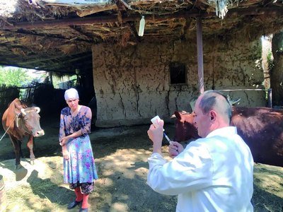 Ветеринария ва чорвачиликни  ривожлантириш бошқармаси: Қорамолларни  даволаш ва эмлаш  ишлари ташкил этилган